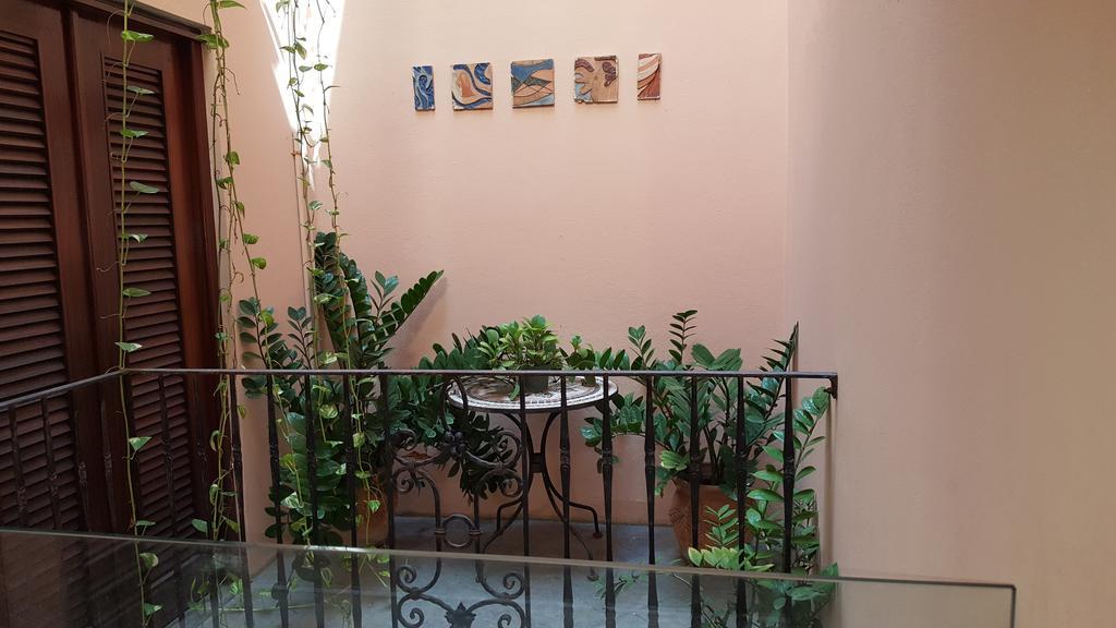 سان خوان Casa Del Valle Guest House المظهر الخارجي الصورة